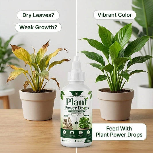 Plant Power Drops™ – Liquid Fertilizer For Plants